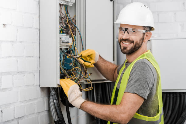 Best Electric Panel Repair  in Moore Haven, FL